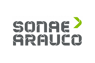 Sonae arauco