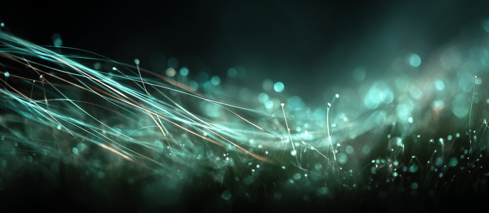 Fine light trails weaving together to suggest dynamic data exchange