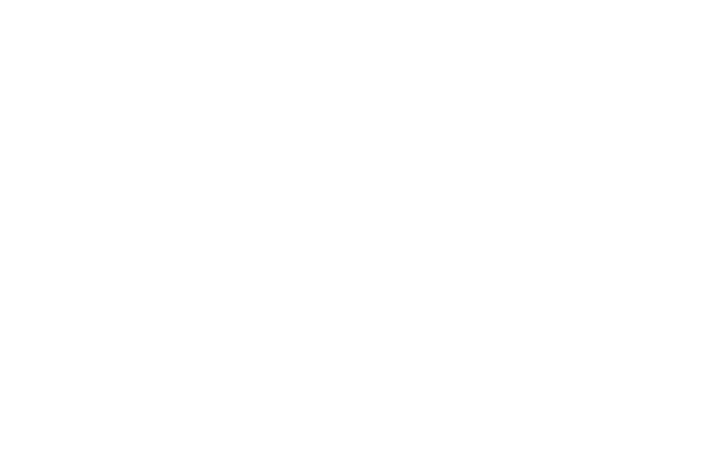 Star Cooperation - Advantage Partner