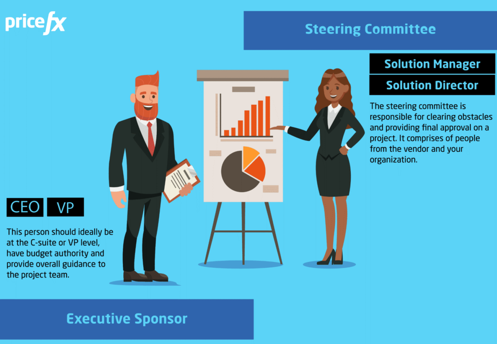 Software-Project-Team-Steering-Committee-Executive-Sponsor-Solution-Manager-Director-CEO-VP