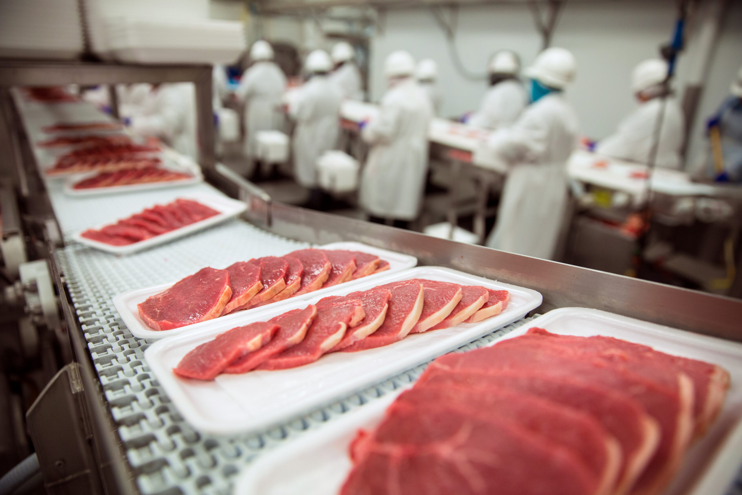 Meat-Processing-and-Packaging-Factory