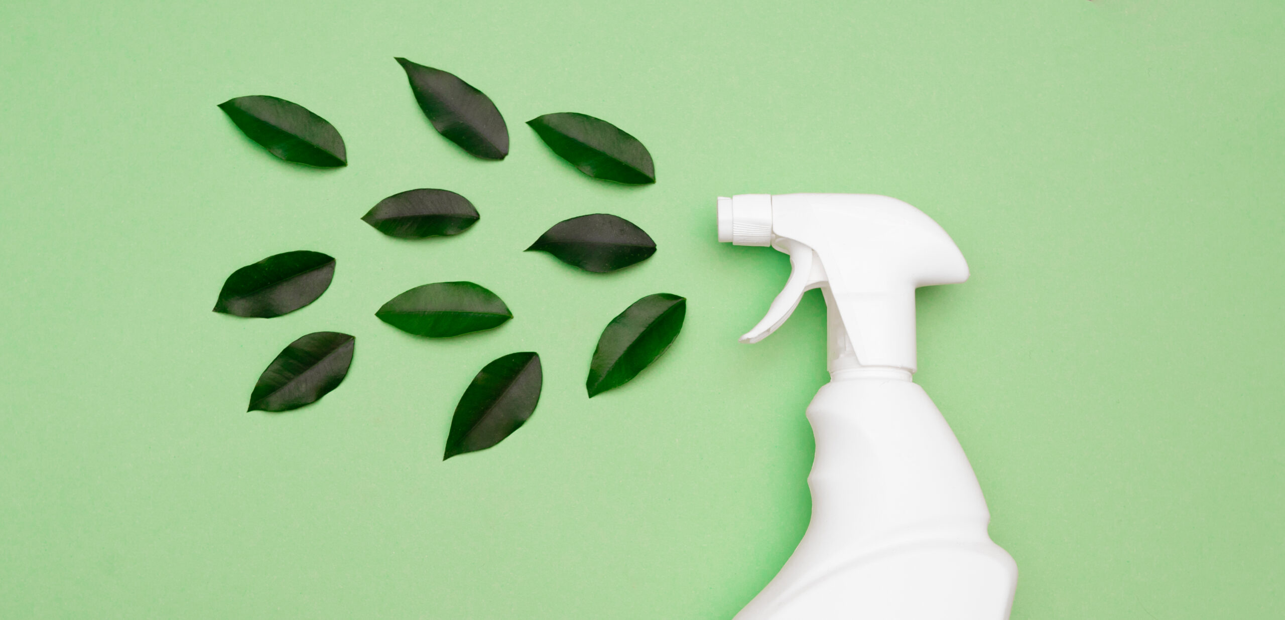 Eco-friendly-cleaning-product-spraying-green-leaves