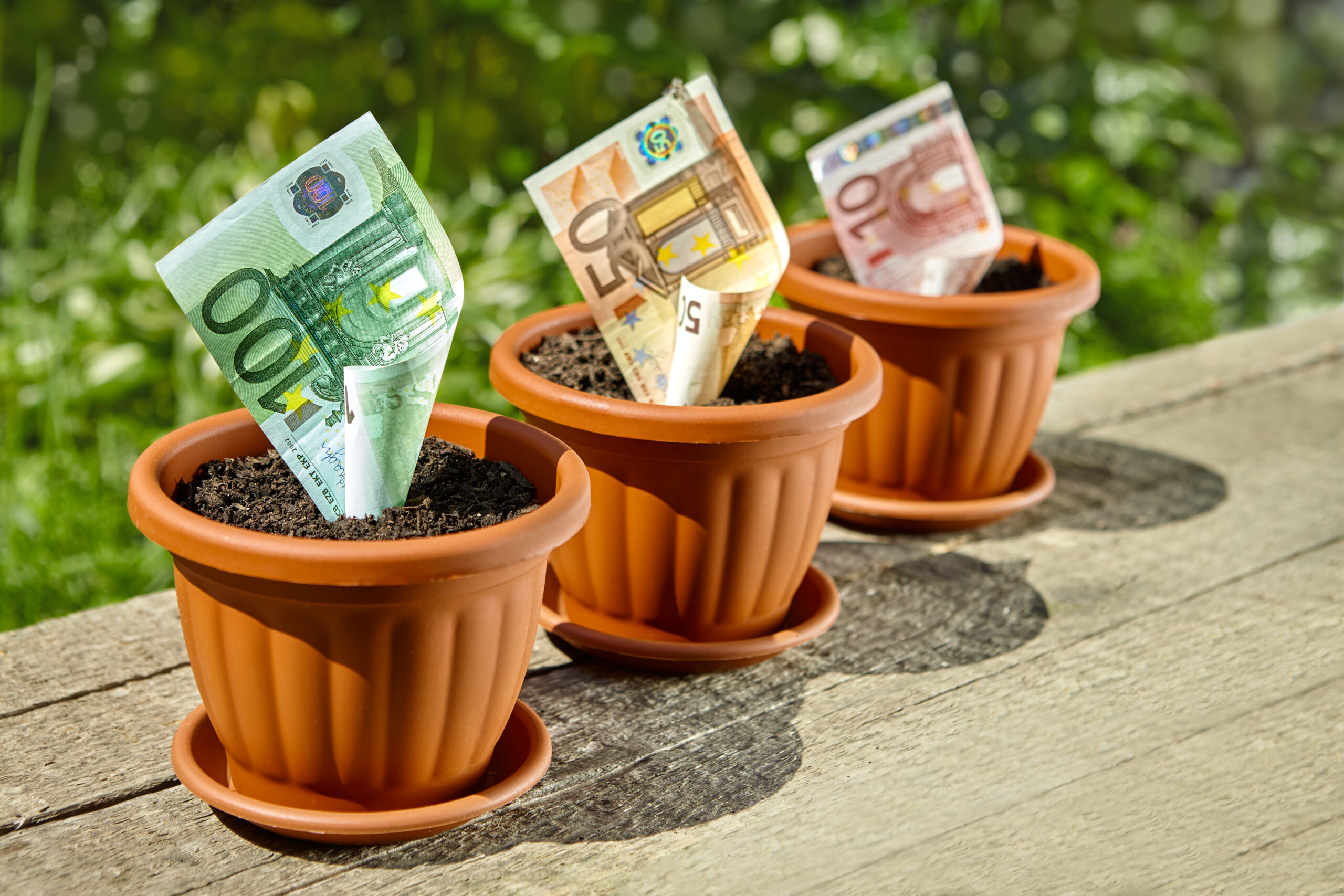 Euro-Notes-Blossoming-in-Flower-Pots-pricing-for-spring