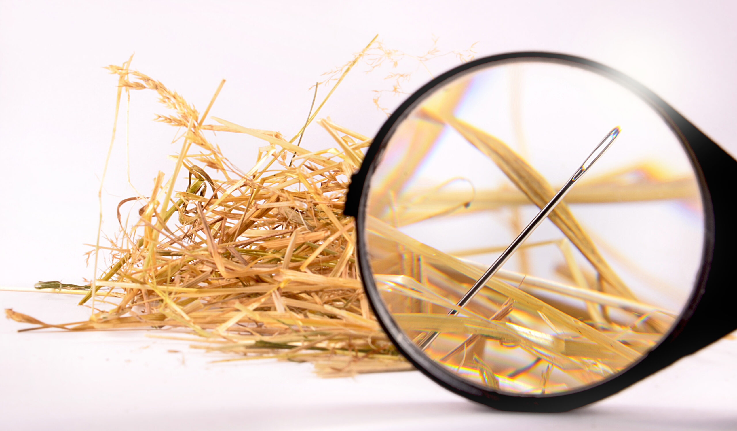 Magnifying-glass-reveals-needle-in-a-haystack